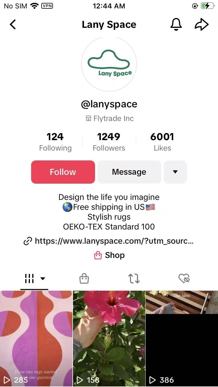 Lany Space social account